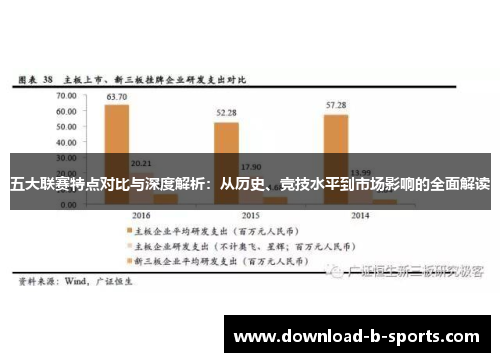五大联赛特点对比与深度解析：从历史、竞技水平到市场影响的全面解读