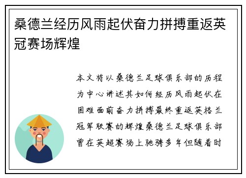 桑德兰经历风雨起伏奋力拼搏重返英冠赛场辉煌
